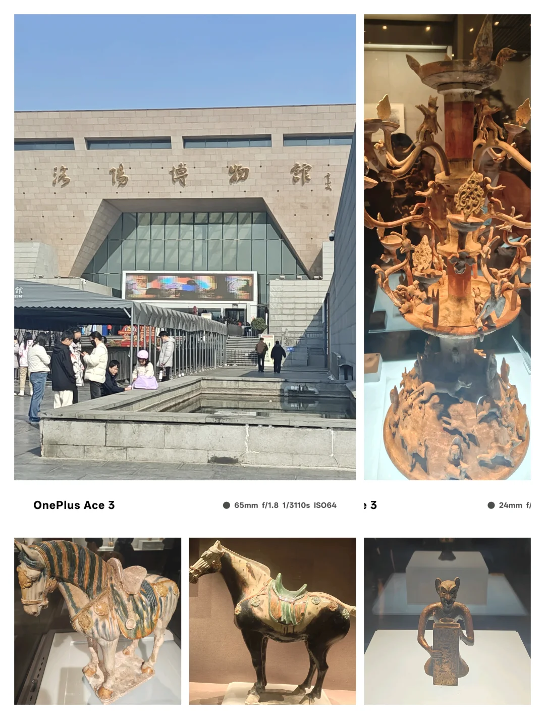 郑州-洛阳-开封四天四夜旅游攻略(特种兵版)