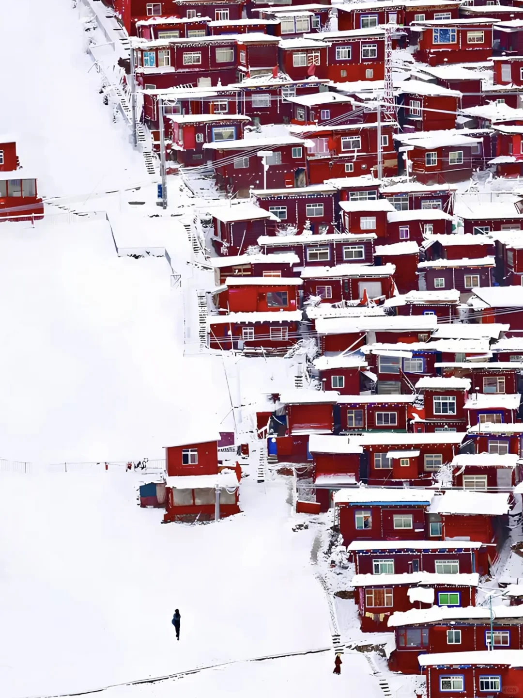 3.11 📍川西已回，live实况直出，劝退不了