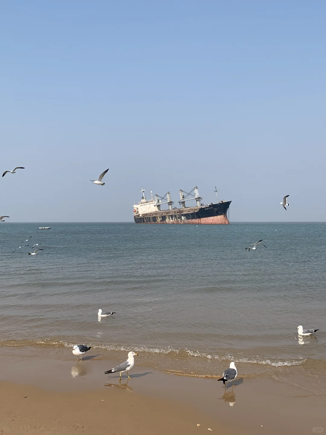 一个人旅行(威海篇)