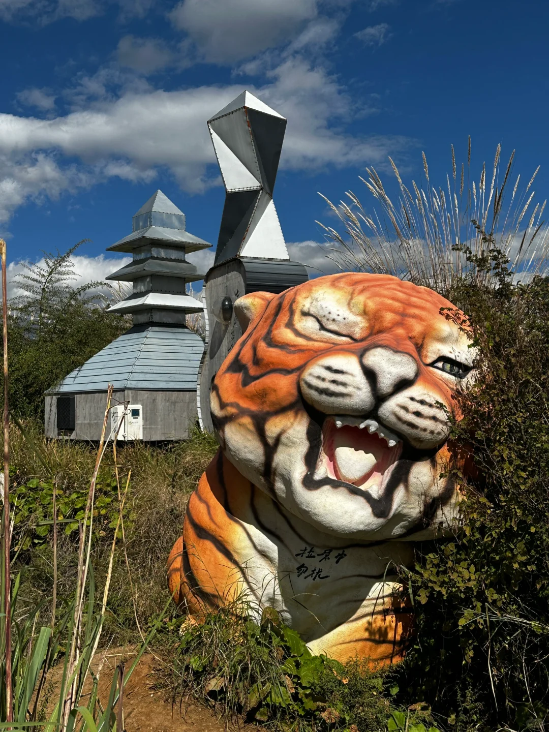 跟风小红书最成功的一次‼️现实版宫崎骏世界