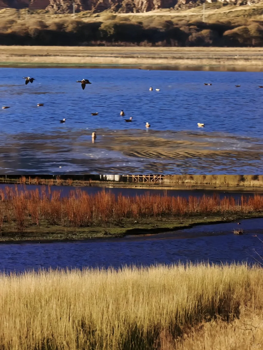 DeepSeek推荐,五一清明反向旅游的5个地方