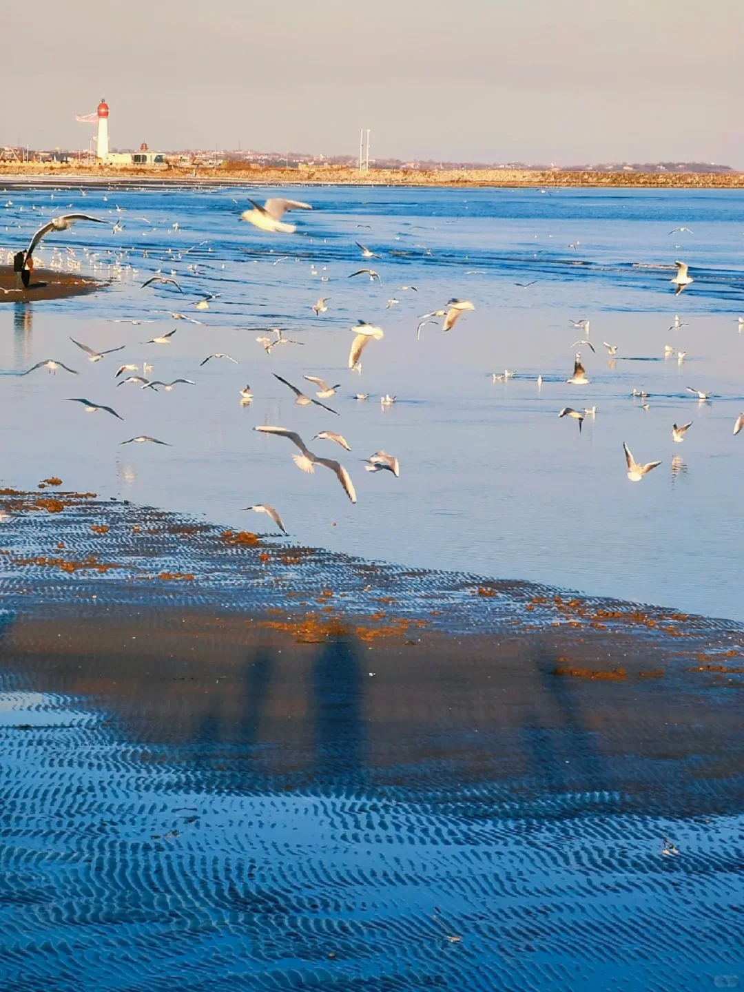 北京🚅2h｜淡季的秦皇岛太上头啦！附攻略