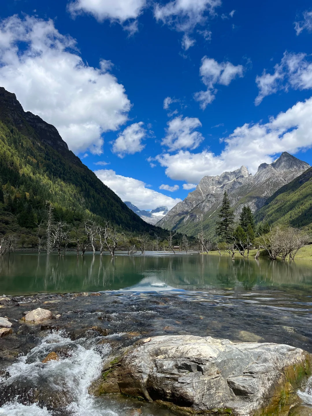 夏季的四姑娘山❗️才是川西真正的顶流😭