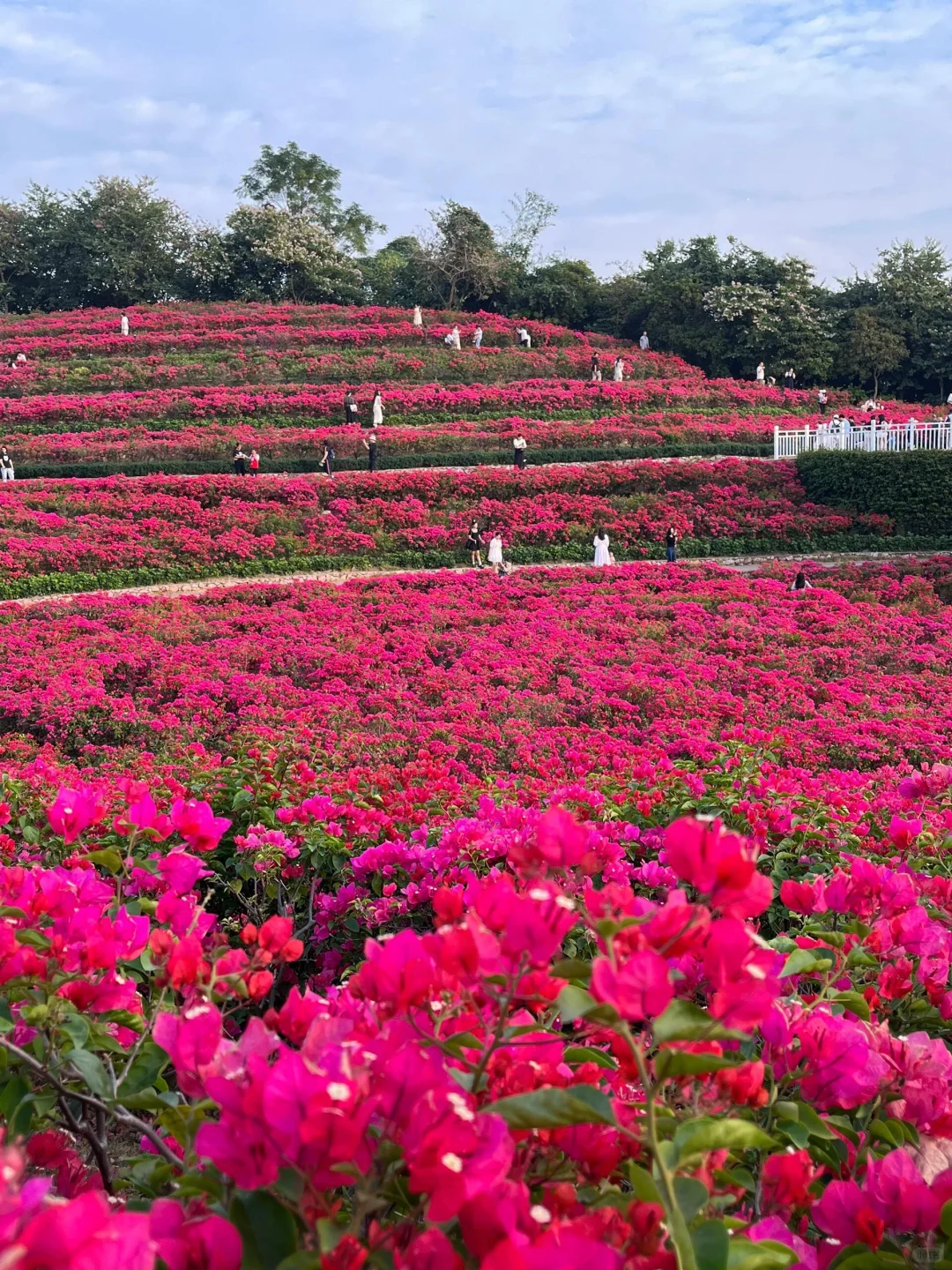 南宁青秀山，3小时 33元省力攻略推荐❗️❗️
