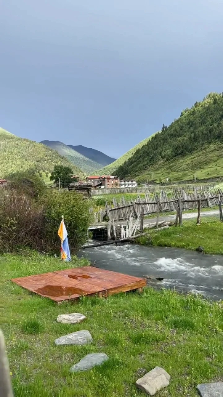 3.22📍鱼子西live实况，2天小团人均200+