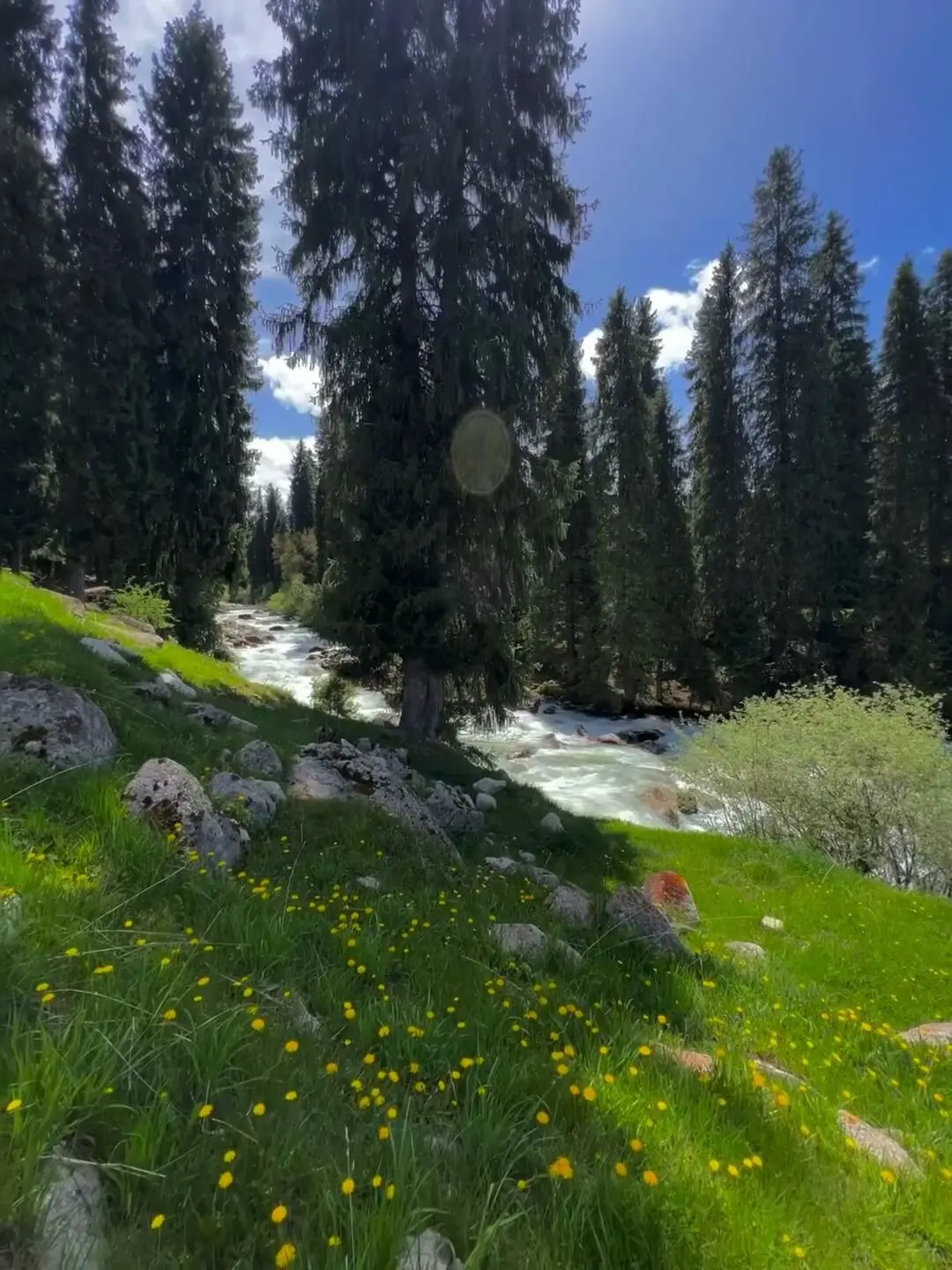 反向旅游|5月就去新疆伊犁,别等6月人挤人