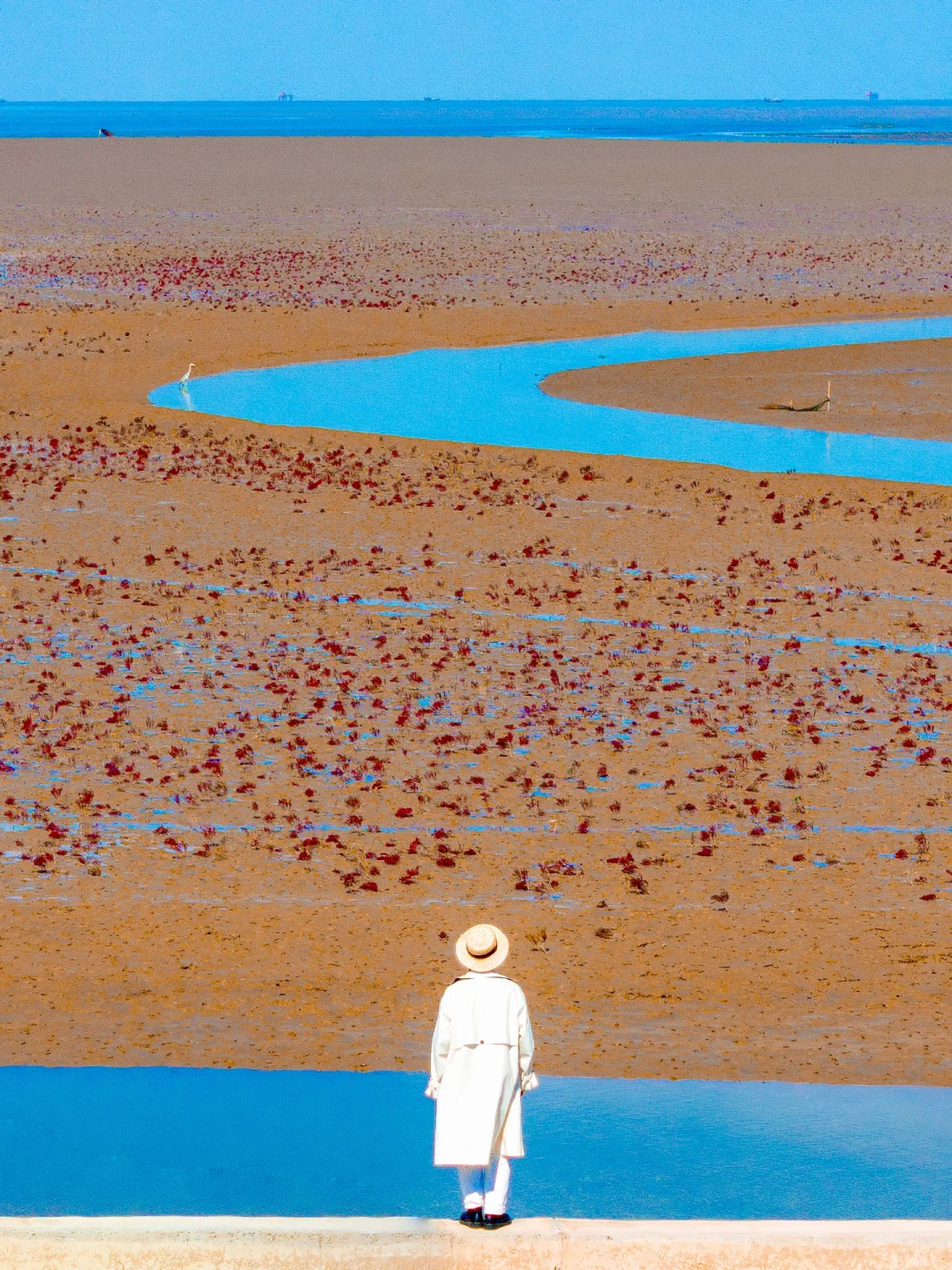 山东被严重低估的海边小城，我好怕它火啊😭