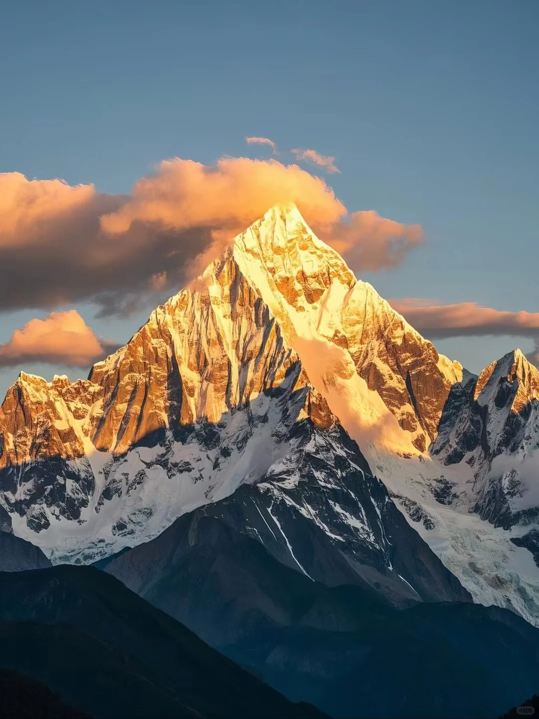 🏔3月林芝|桃花雪山下的春日仙境🌸