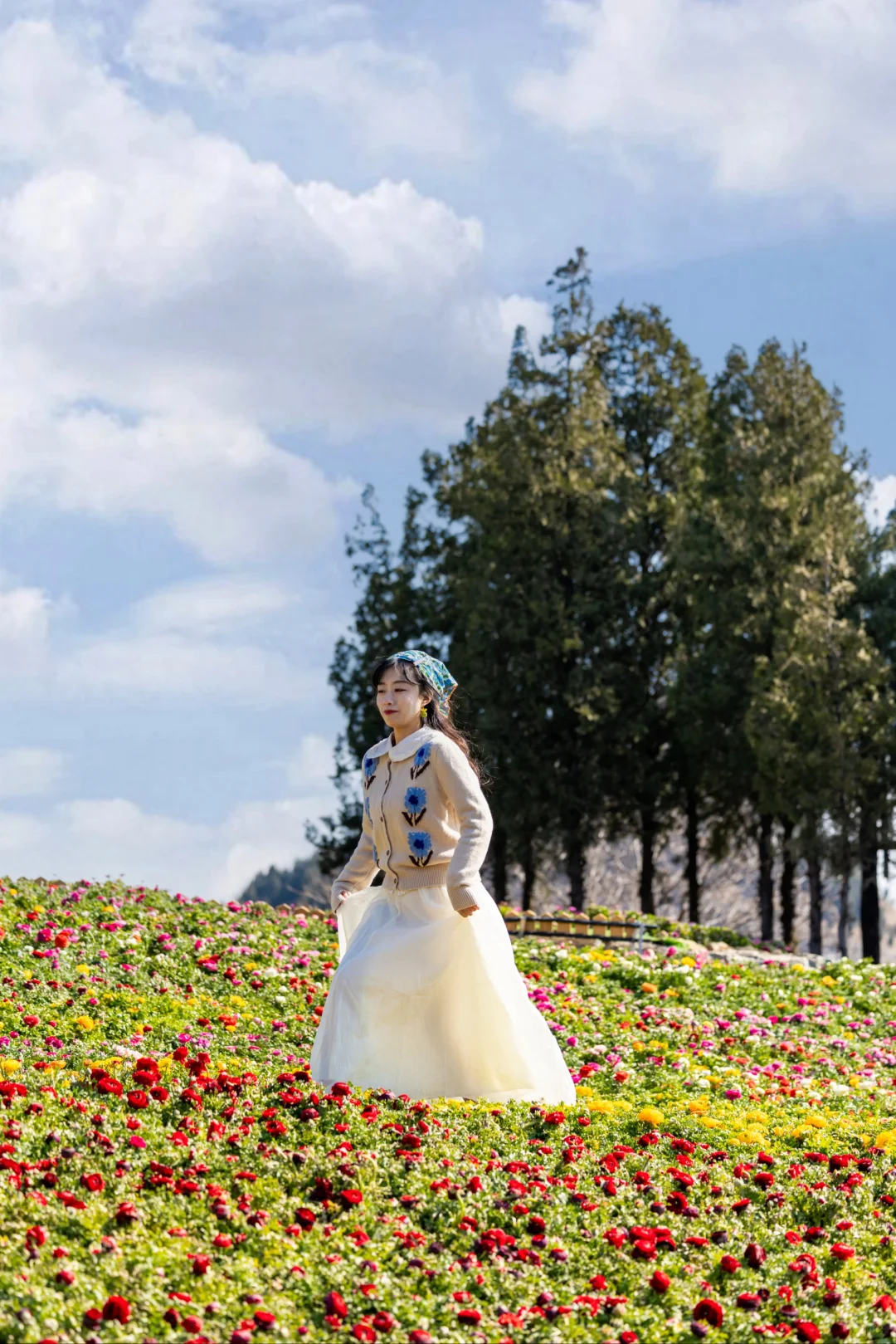 我在淄博上春山🌸邂逅云端莫奈花园