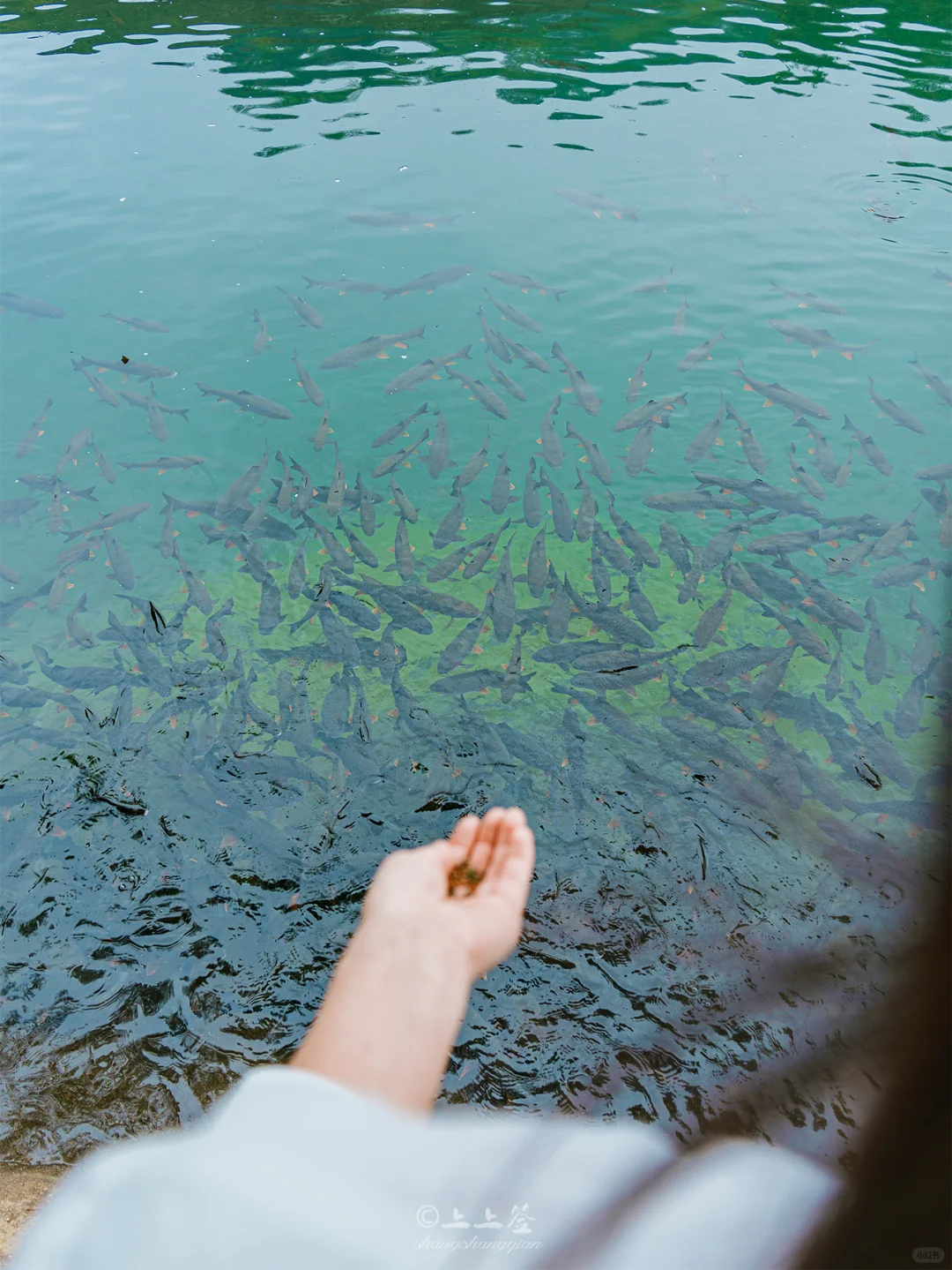 ⛰️我确定：这是我们去过最仙的地方～