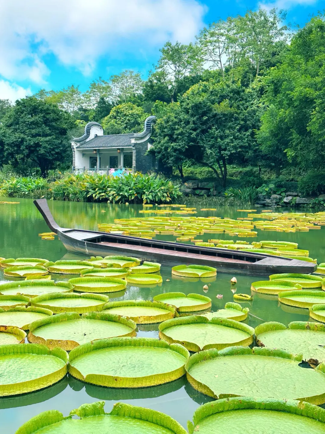 南宁青秀山，3小时 33元省力攻略推荐❗️❗️