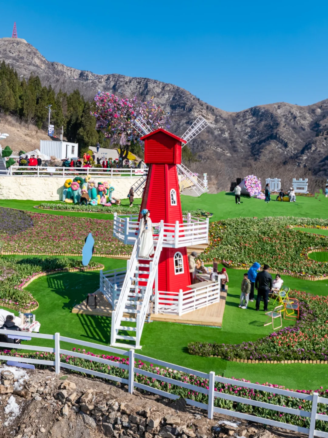 我在淄博上春山🌸邂逅云端莫奈花园