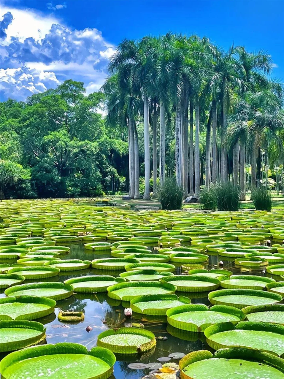 这里有你向往的诗和远方