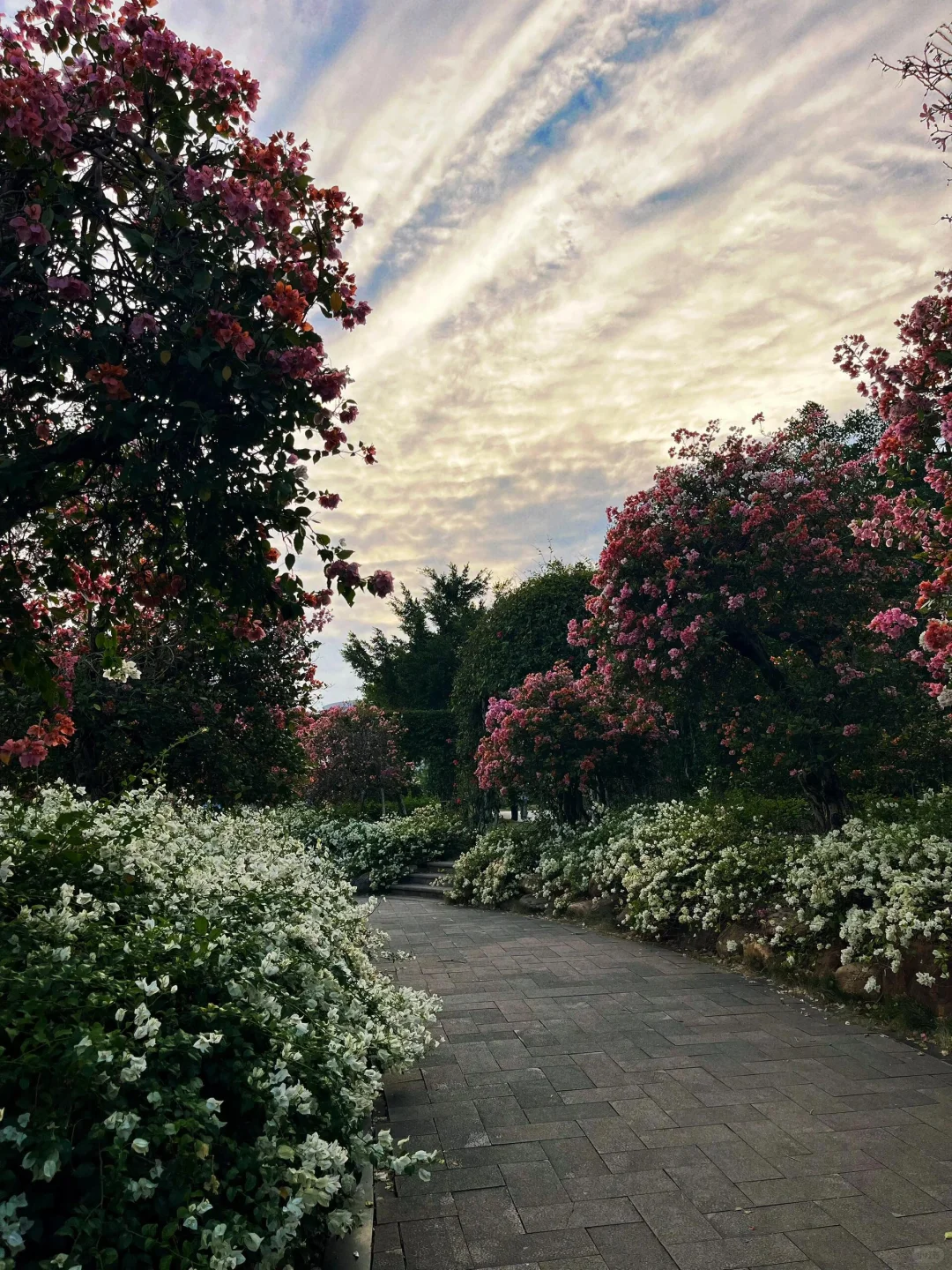 南宁青秀山，3小时 33元省力攻略推荐❗️❗️