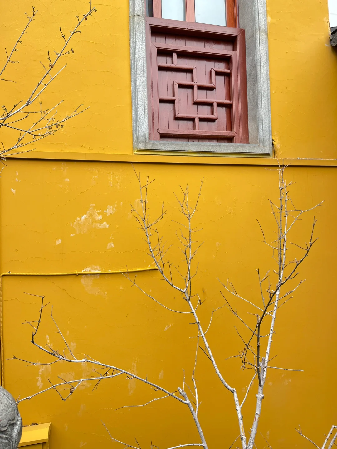 三月·杭州西湖