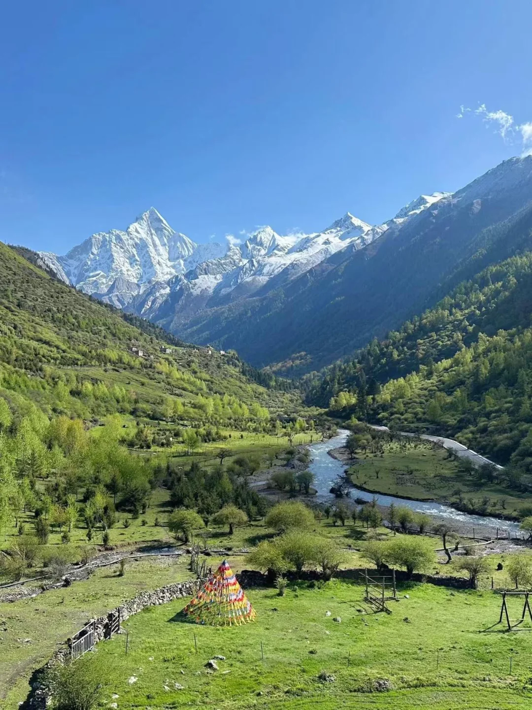夏季的四姑娘山❗️才是川西真正的顶流😭