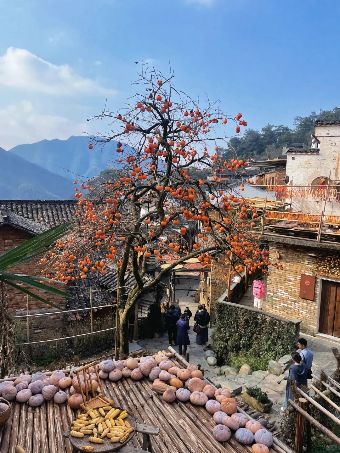 ✨江西旅游 | 一眼千年，邂逅绝美赣鄱大地