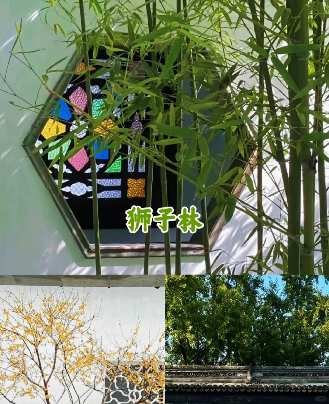 🔥超火爆苏杭旅游攻略‼️四天才人均 800