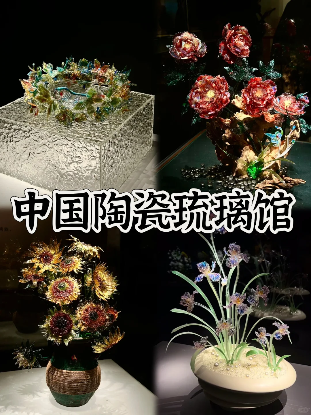 03女大📍淄博/一日游精华版旅游攻略❗️