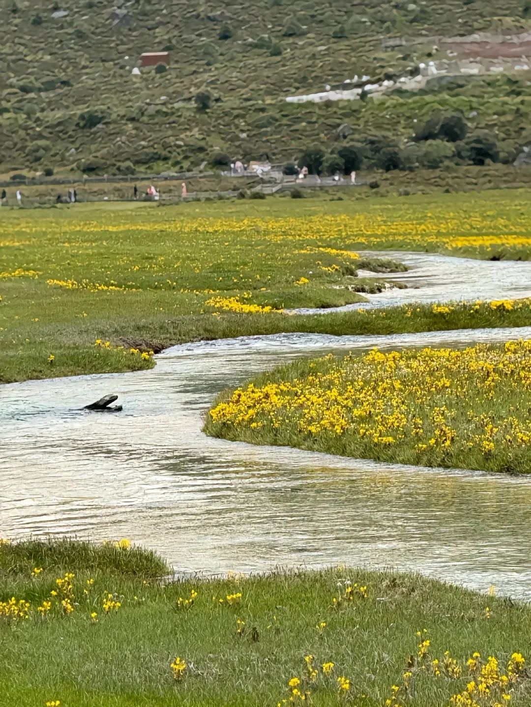 川西小团已回，帮大家避雷！（不删