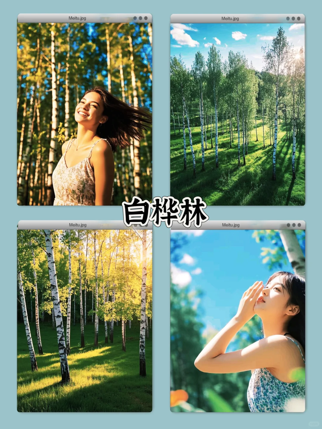 呼伦贝尔六天五晚保姆级旅游攻略✨