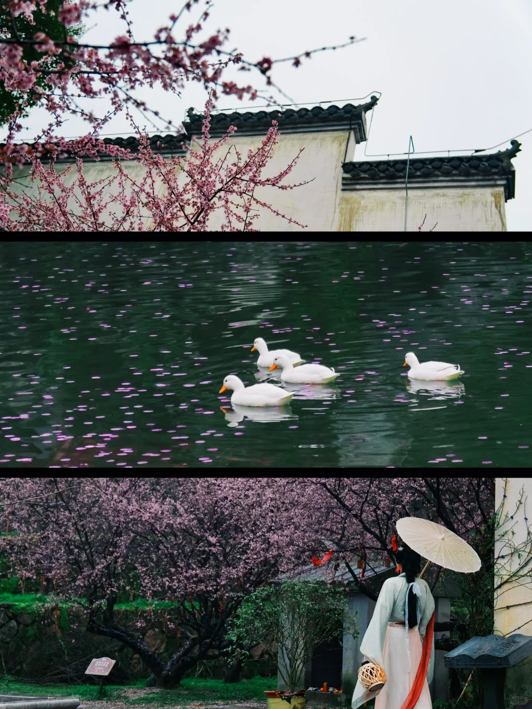 《国家地理》推荐的烟雨小镇，美的死心塌地的