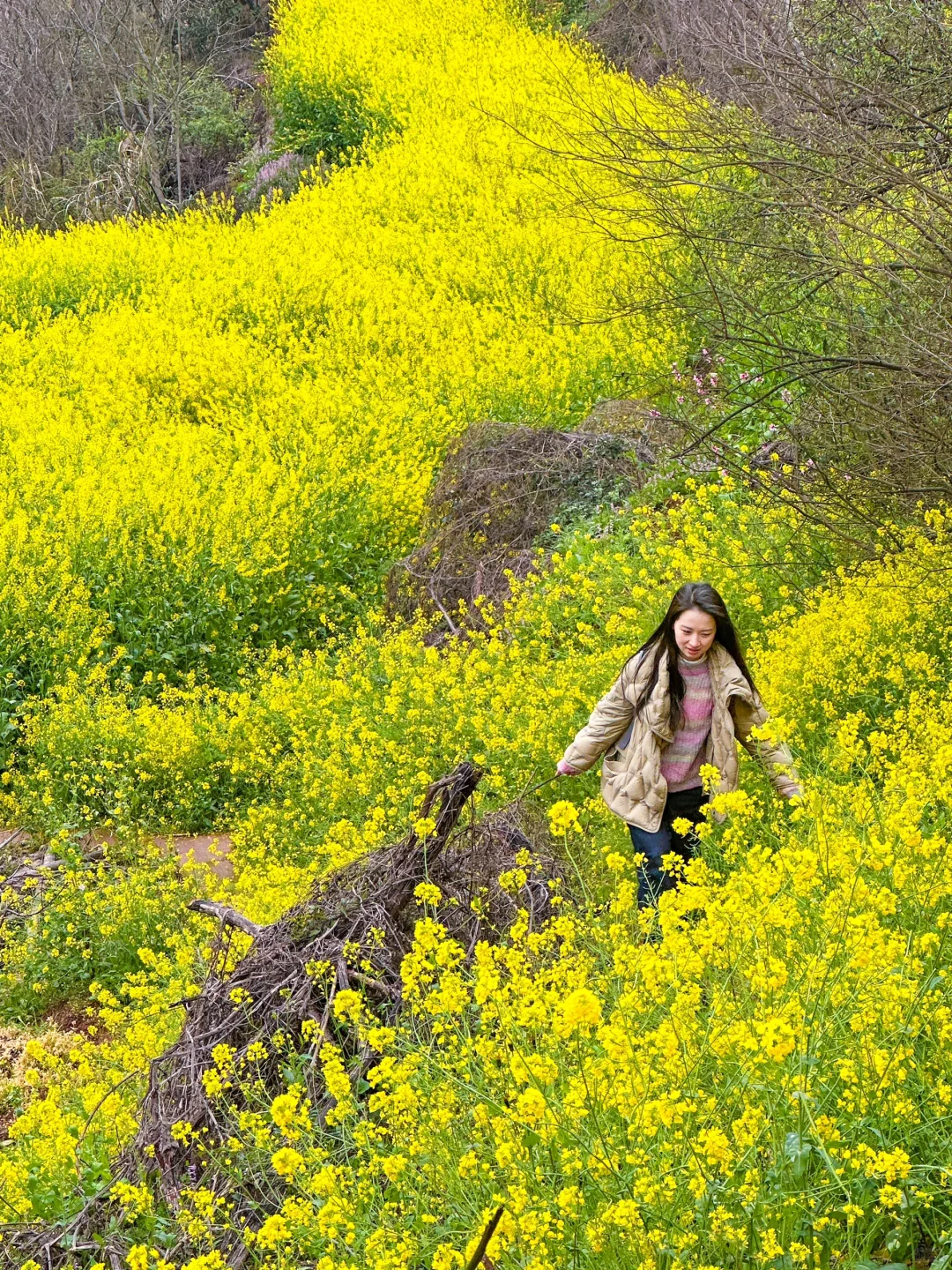 成都1h｜绝美山脊徒步路！赏花🌸看火车🚞坐船