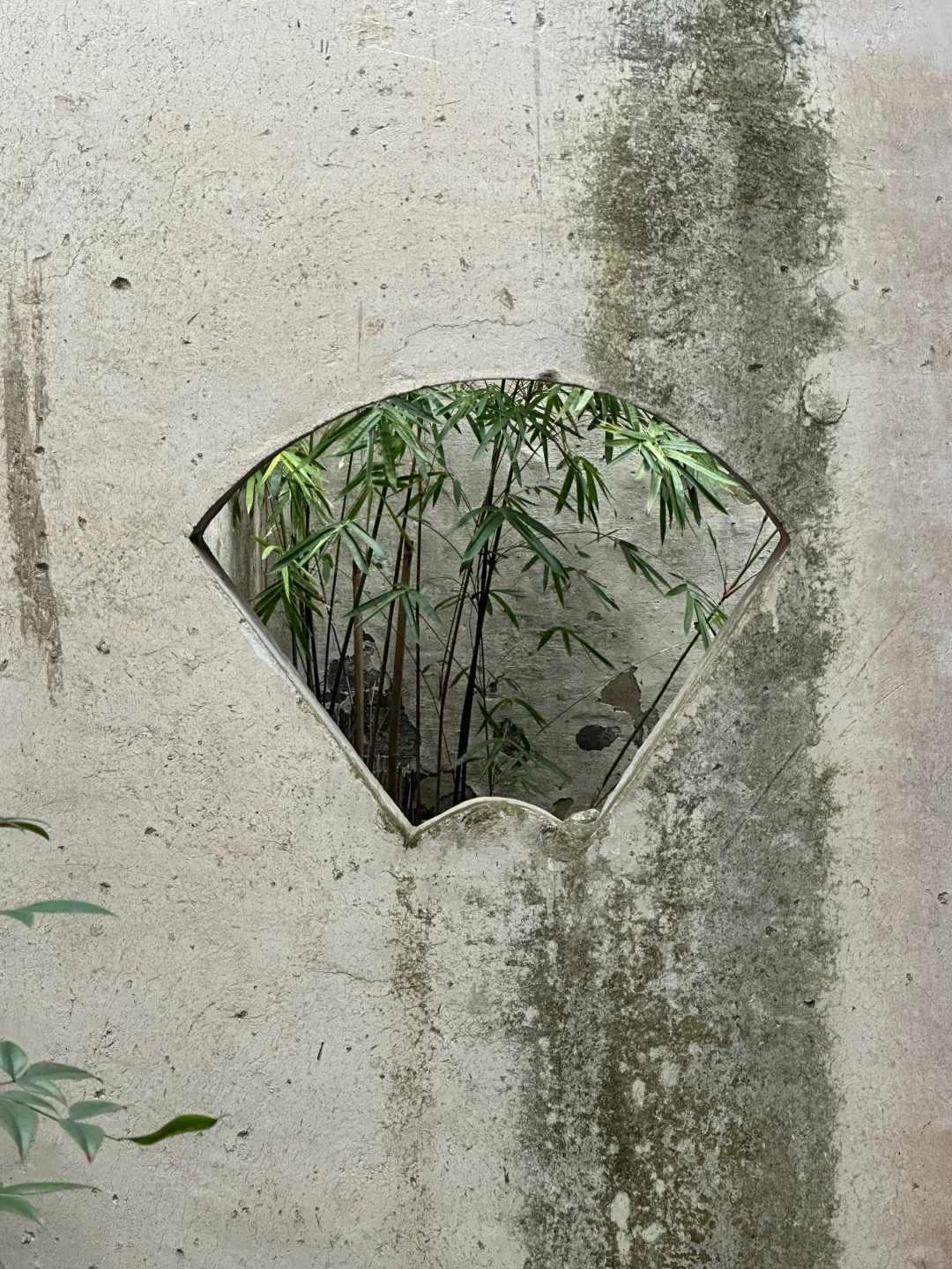 墨绿的小城水乡周庄古镇怎么玩？必看❗