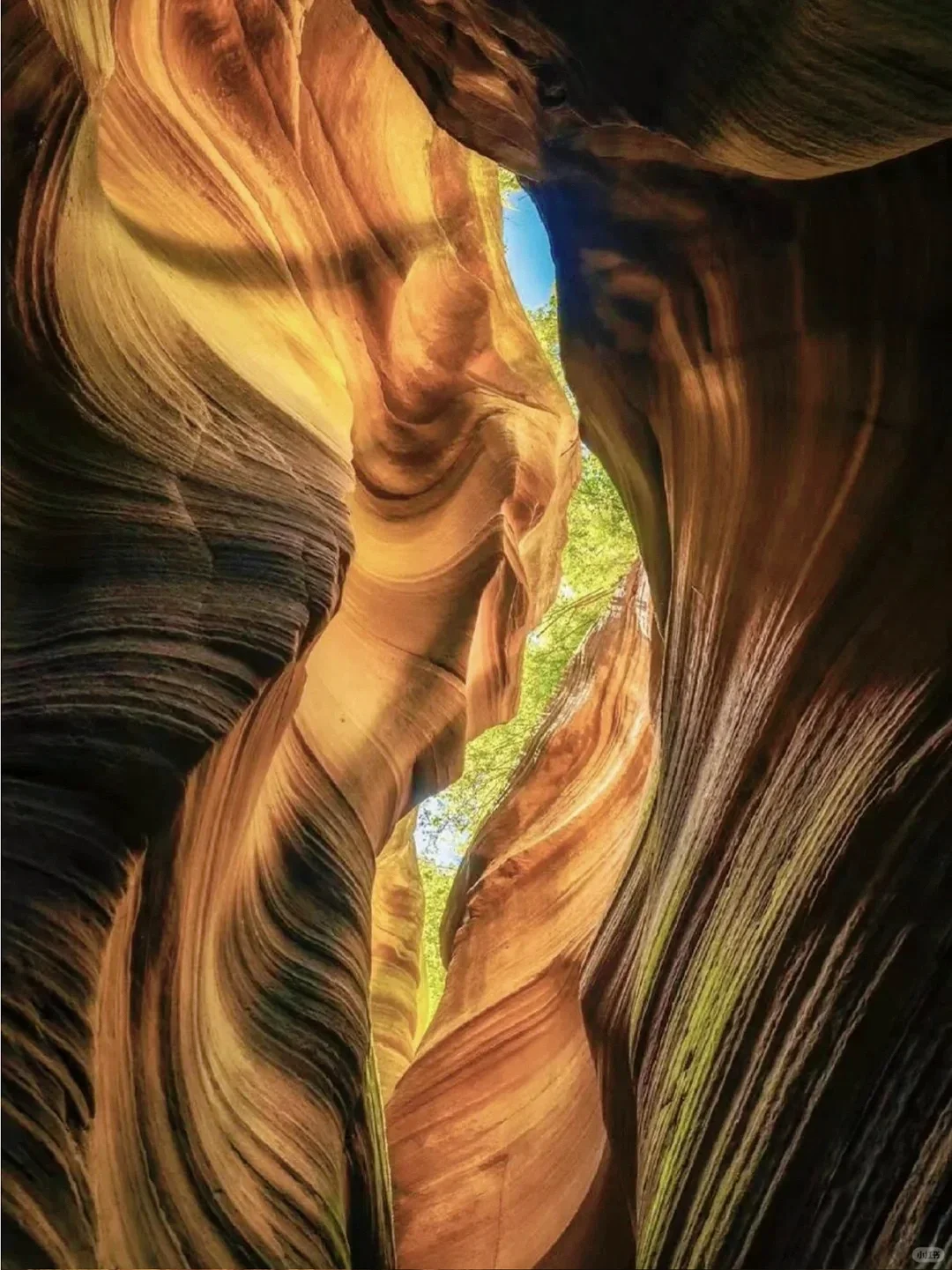 《国家地理》没骗我❗最震撼的羚羊谷在陕北!!