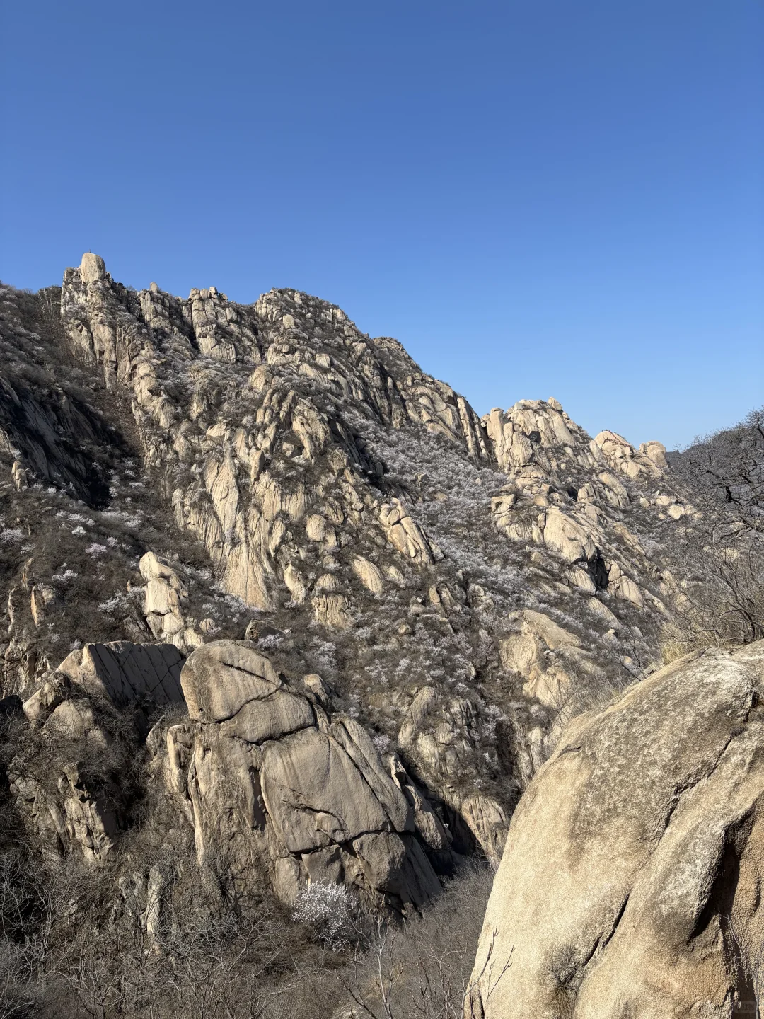 🌸桃花奇石,北京凤凰岭桃花开啦!