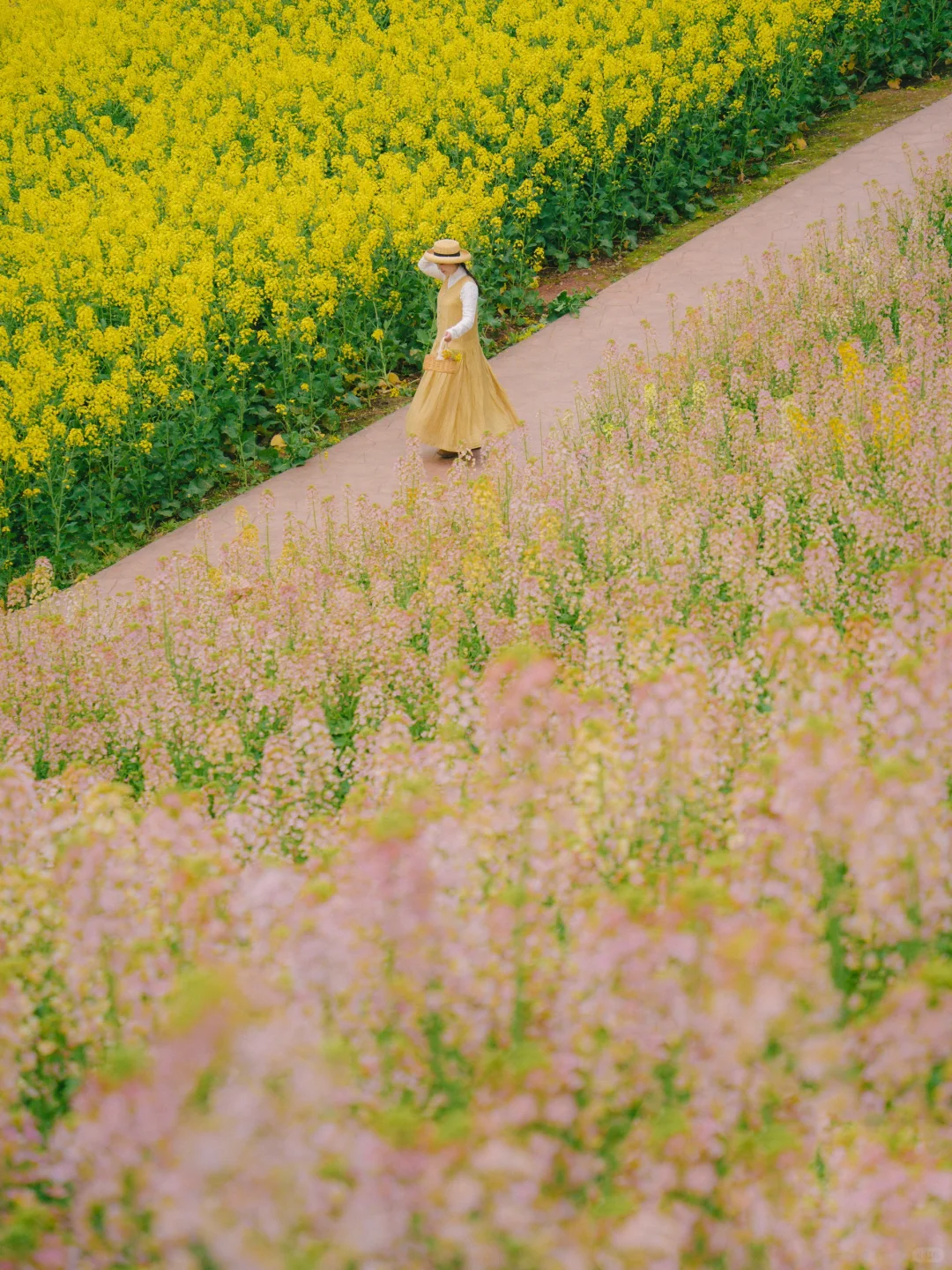 🚄高铁直达宝藏小城，两天一夜冷门小众玩法！