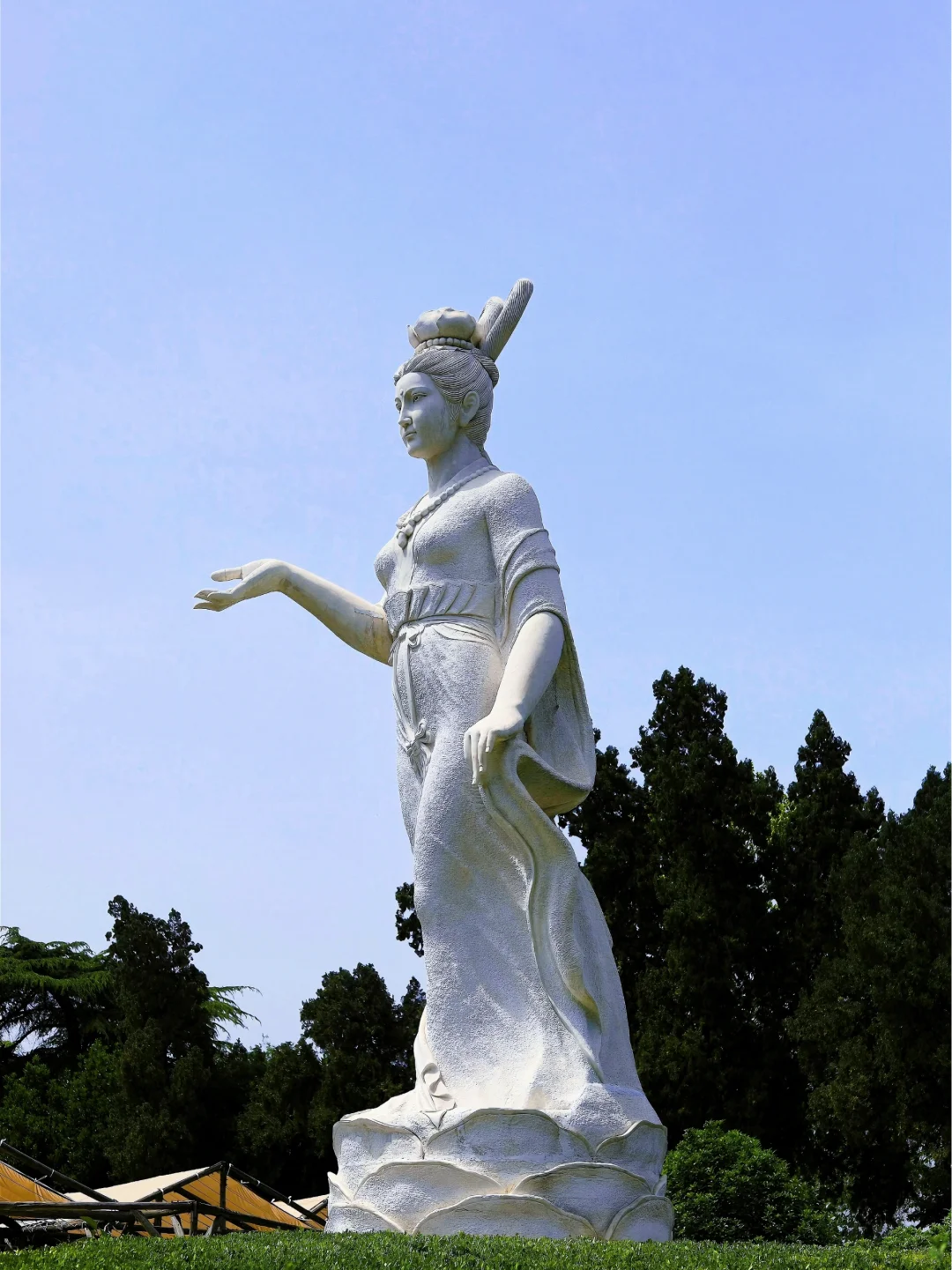 洛阳中国国花园，牡丹迷的必打卡地