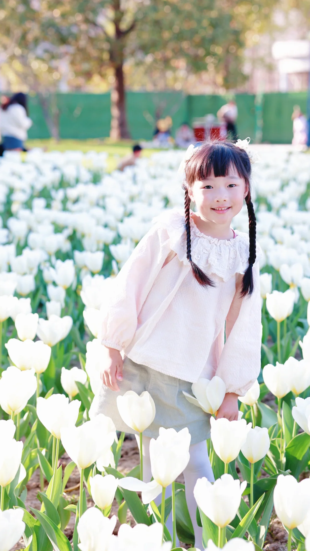 📍灵湖｜小木屋