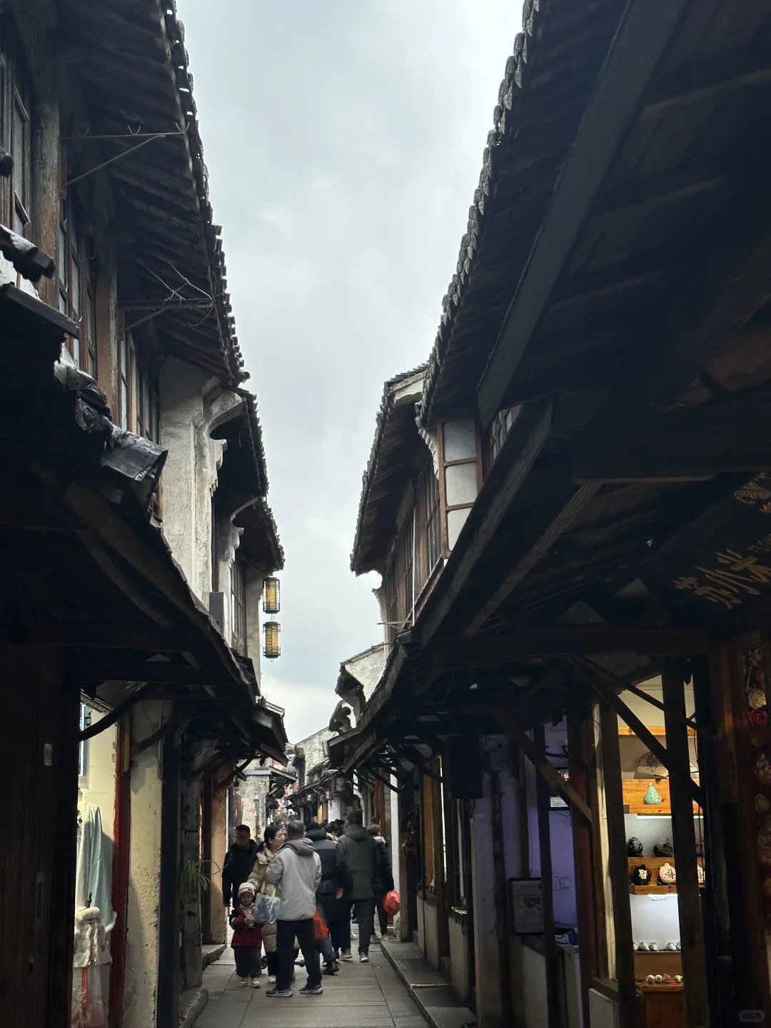 墨绿的小城水乡周庄古镇怎么玩？必看❗