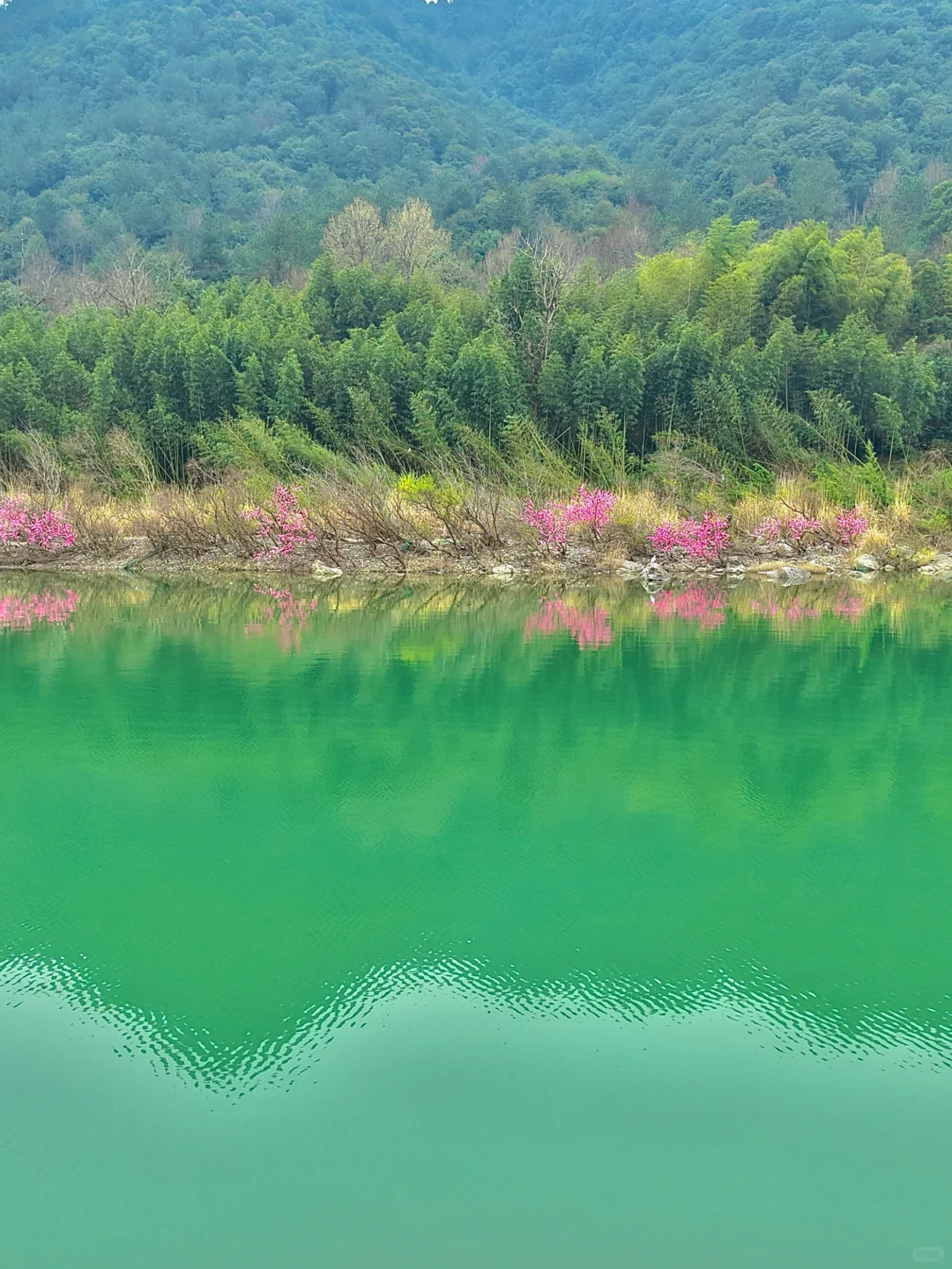 可恶！桐庐真的让我破防了😭