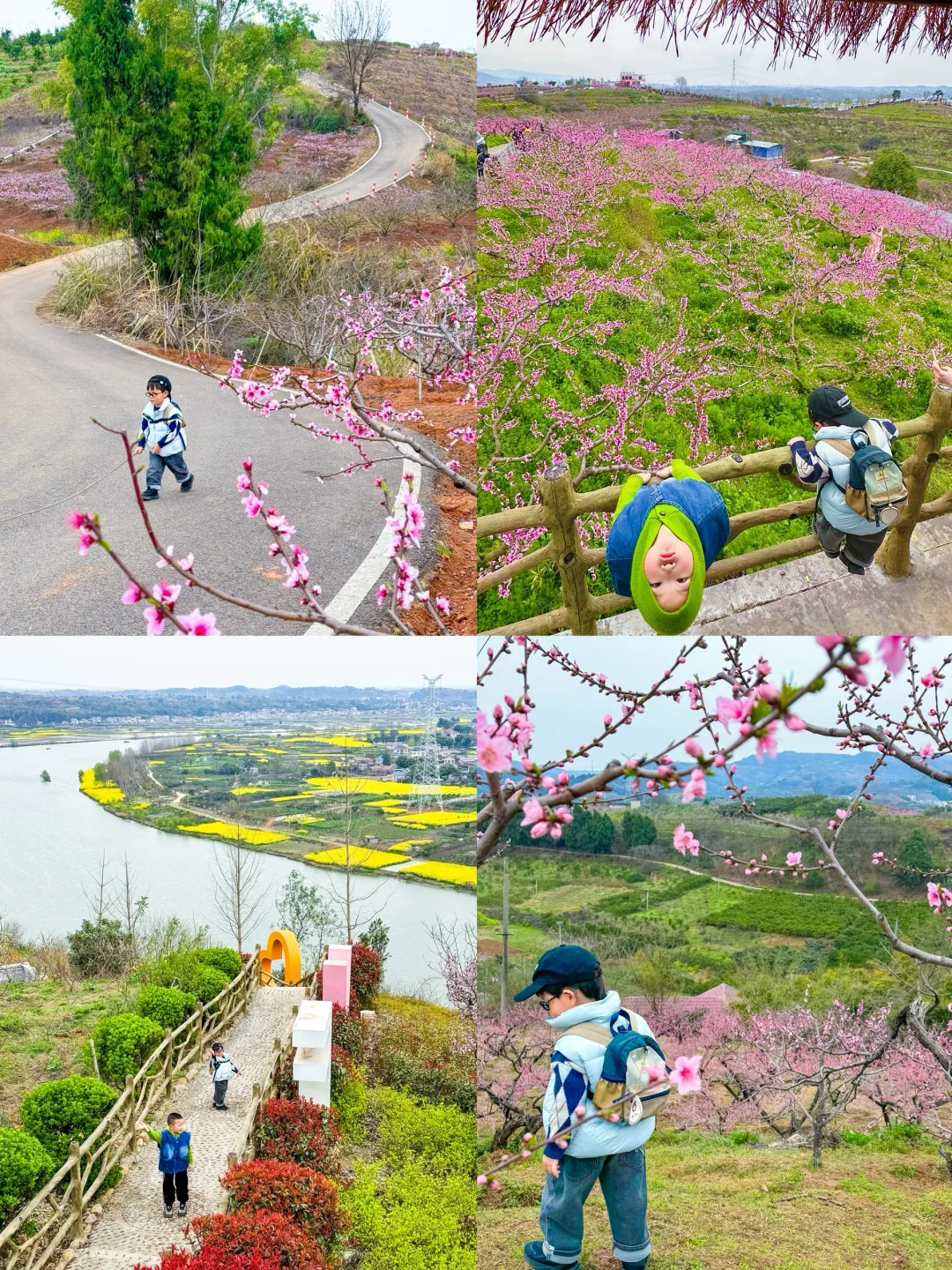 成都1h｜绝美山脊徒步路！赏花🌸看火车🚞坐船