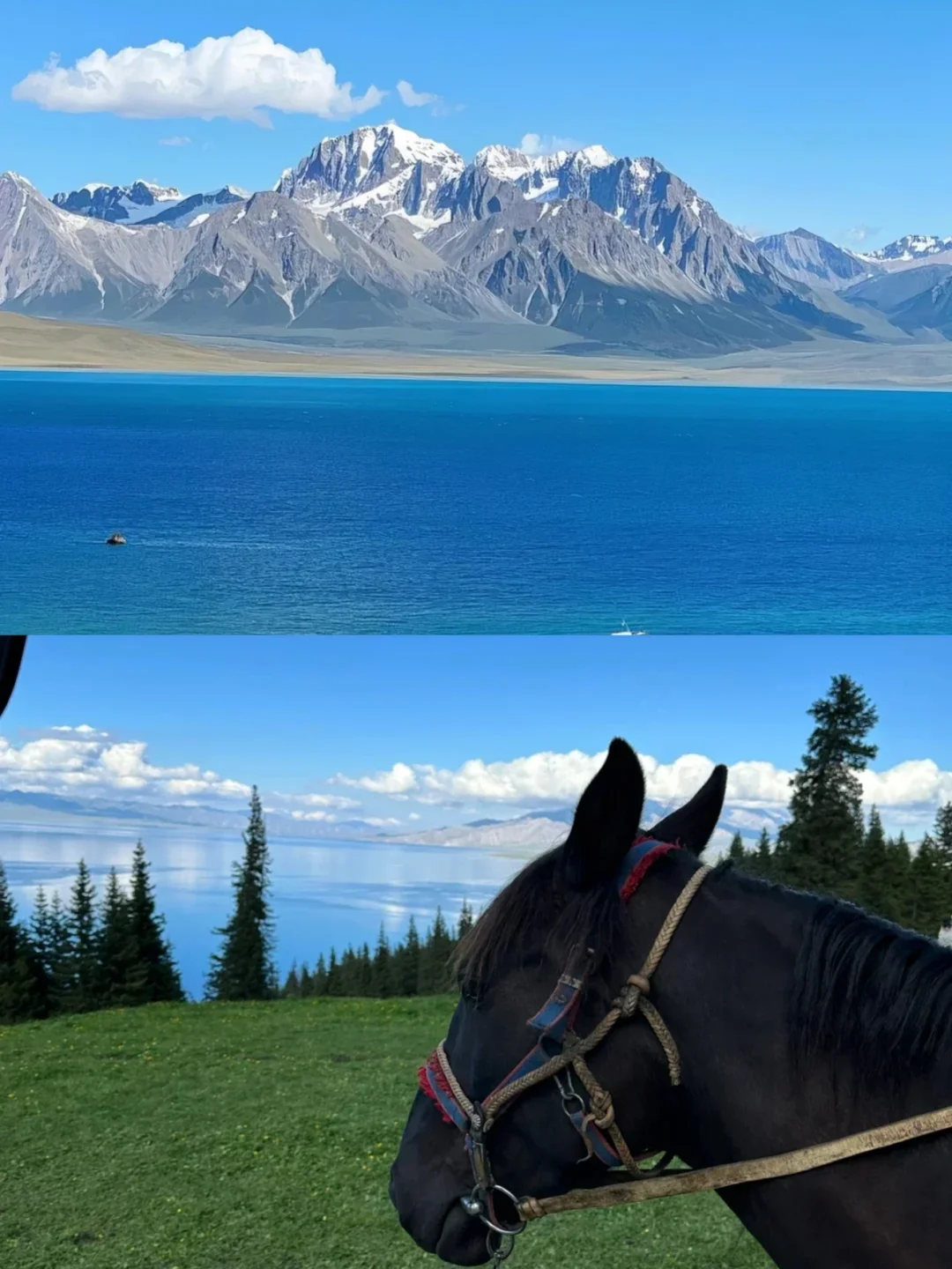 青春没有售价，大学生勇闯🏃新疆！