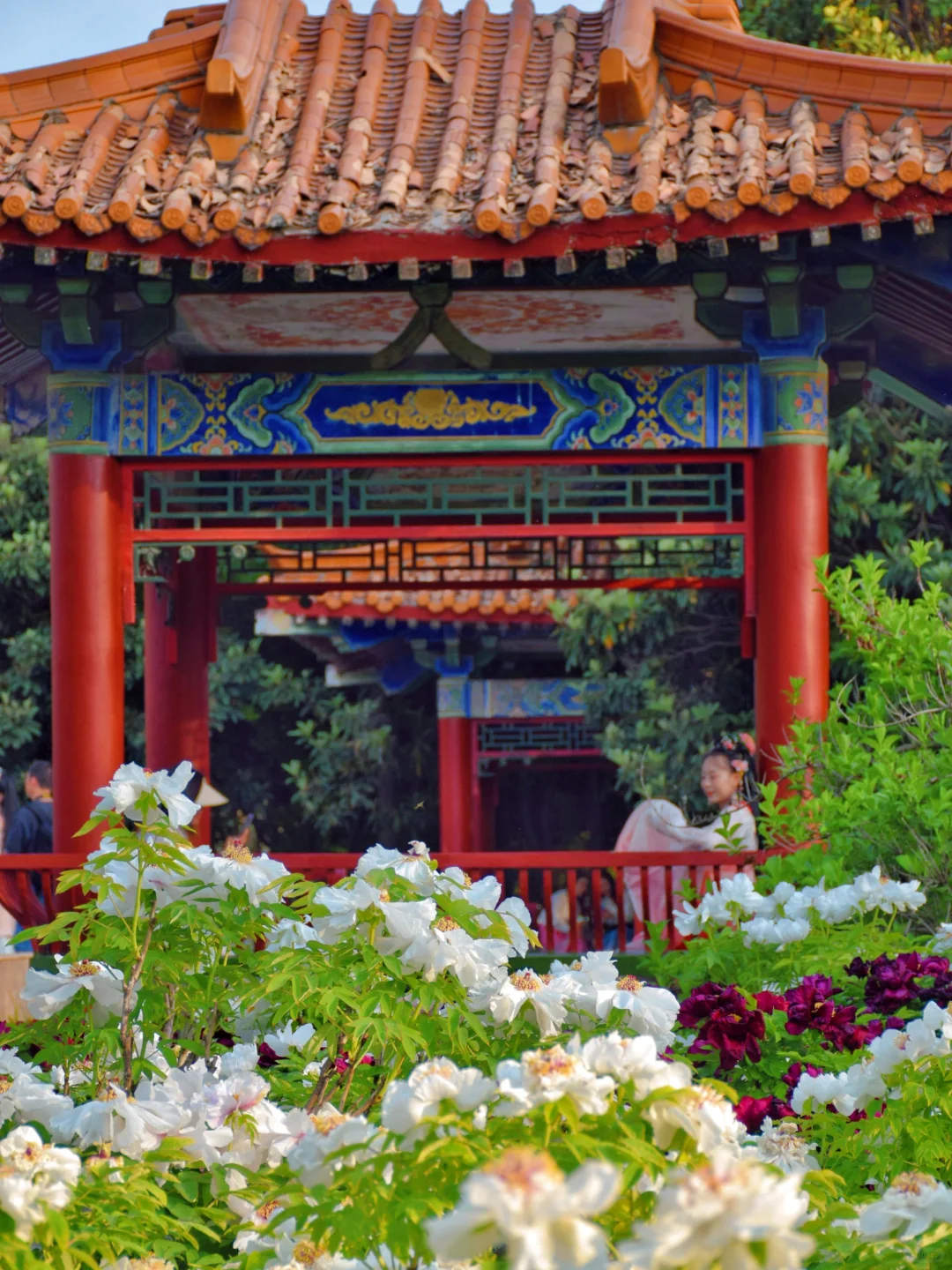 以为西安已经够美了，直到我去了洛阳……