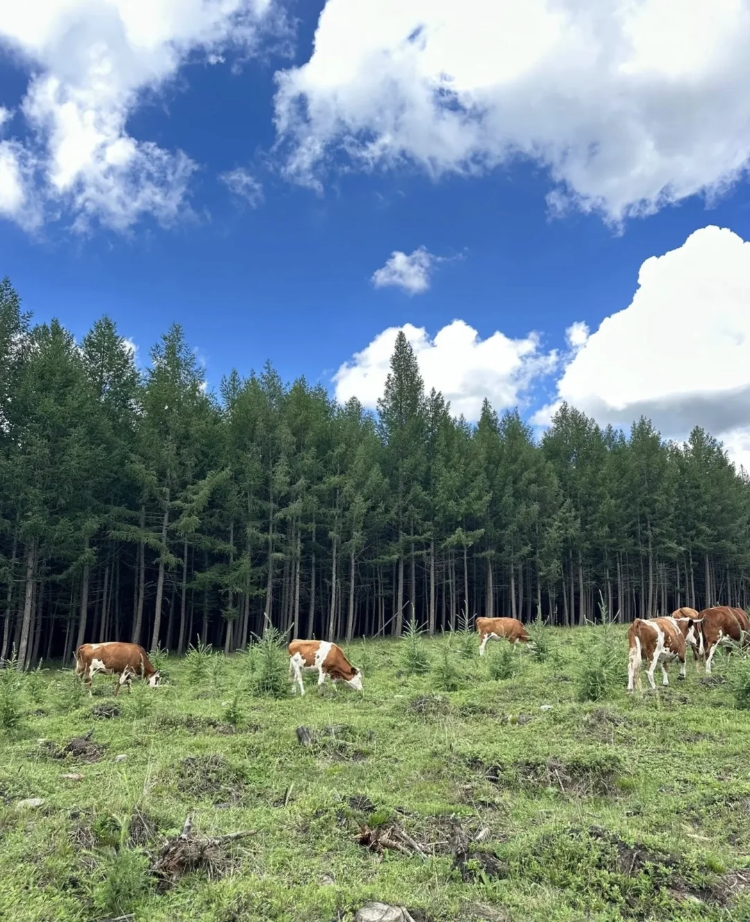 热阿线保姆级攻略｜性价比&体验感双天花板