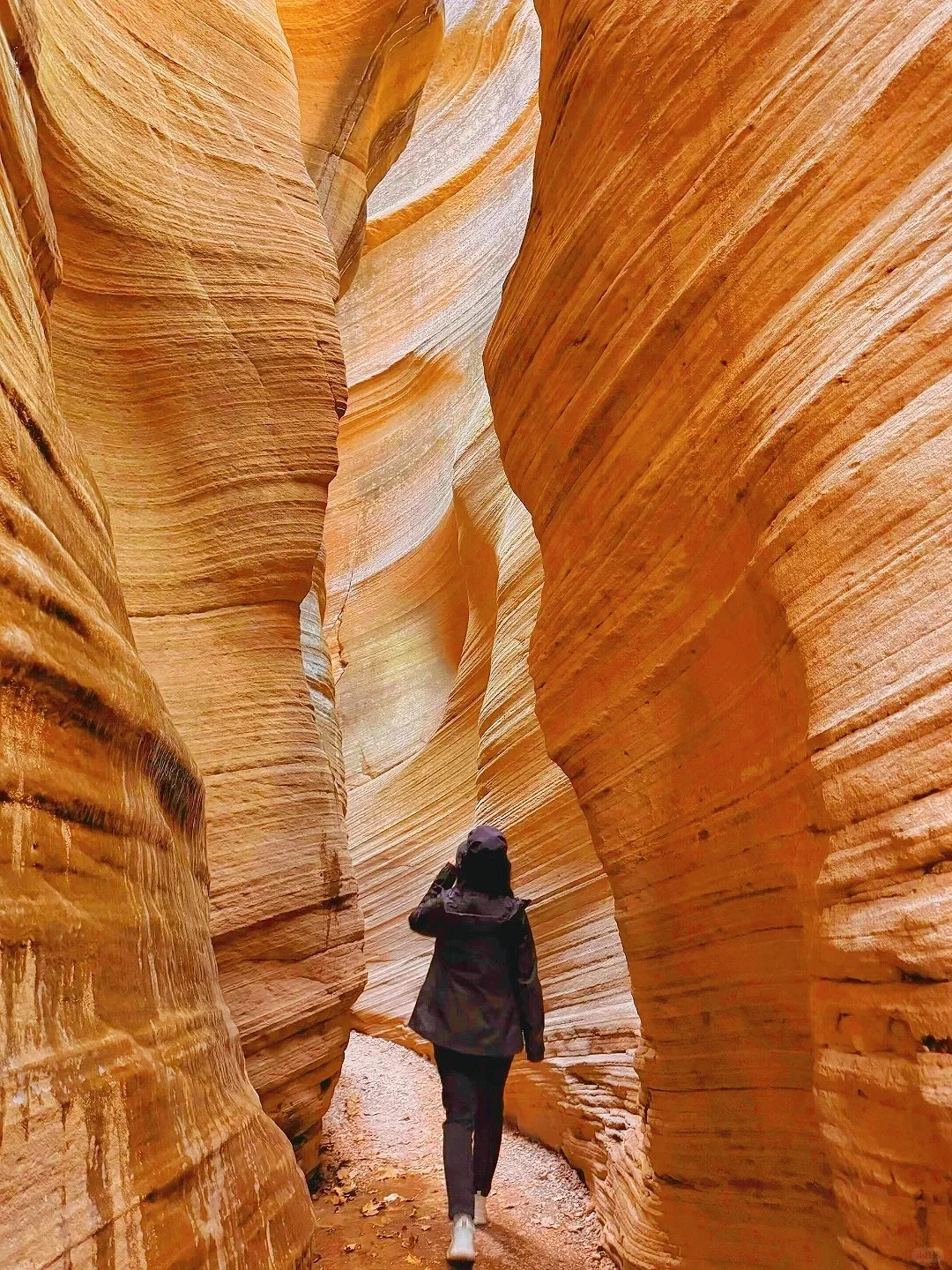 《国家地理》没骗我❗最震撼的羚羊谷在陕北!!
