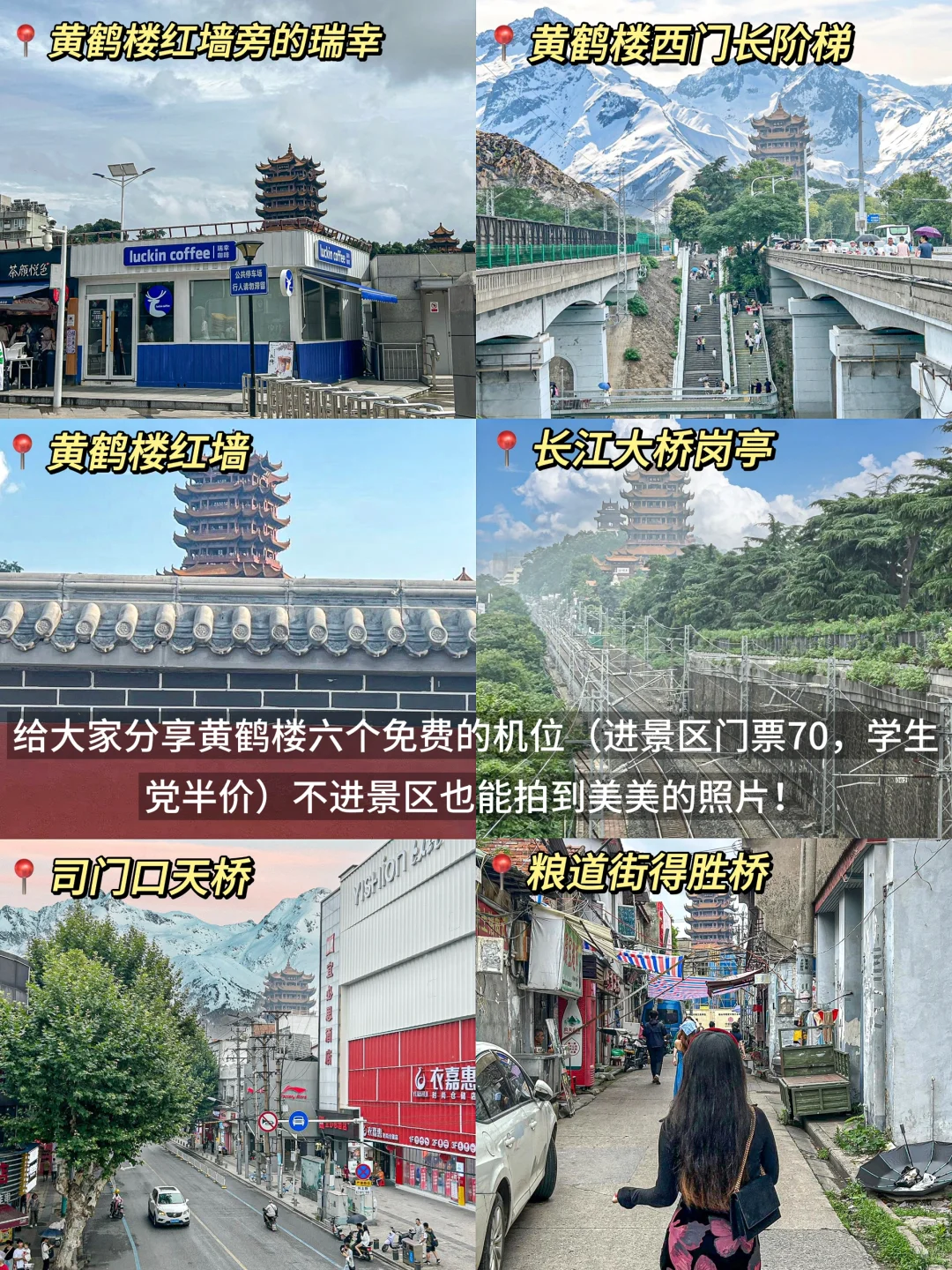 人生建议:一定要在3月樱花季🌸去一次武汉。。