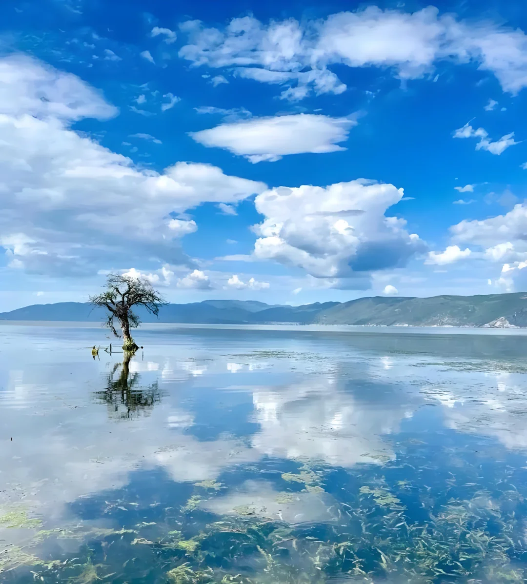 ✨大理 | 苍山洱海，奔赴一场浪漫之约💕