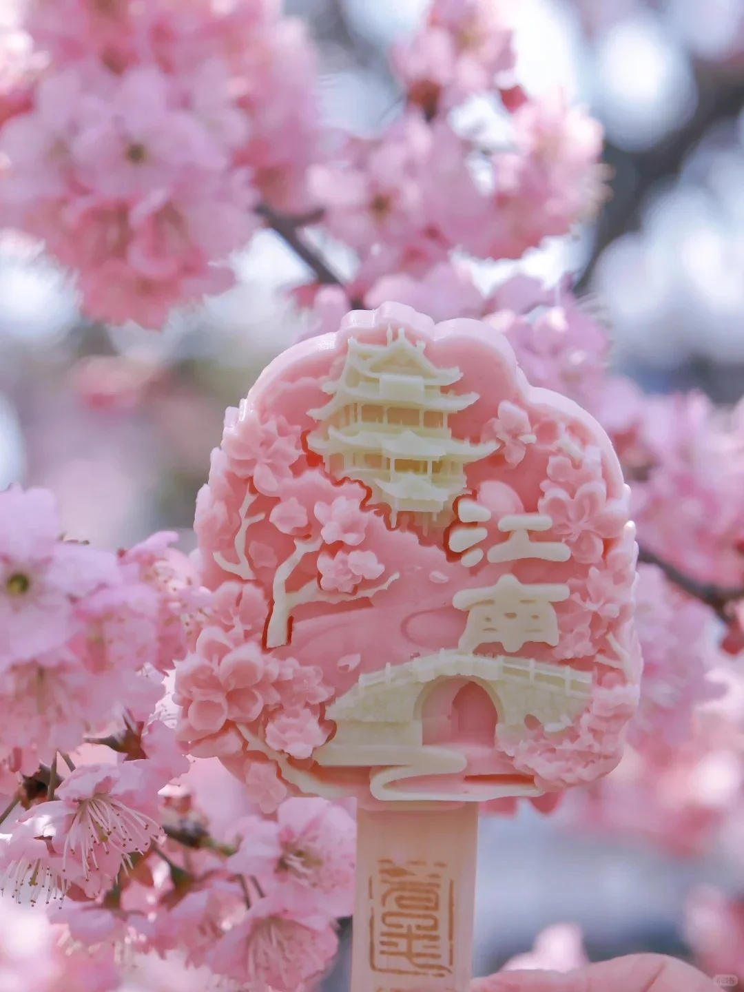 3月29日鼋头渚樱花已上线，感受春日美好