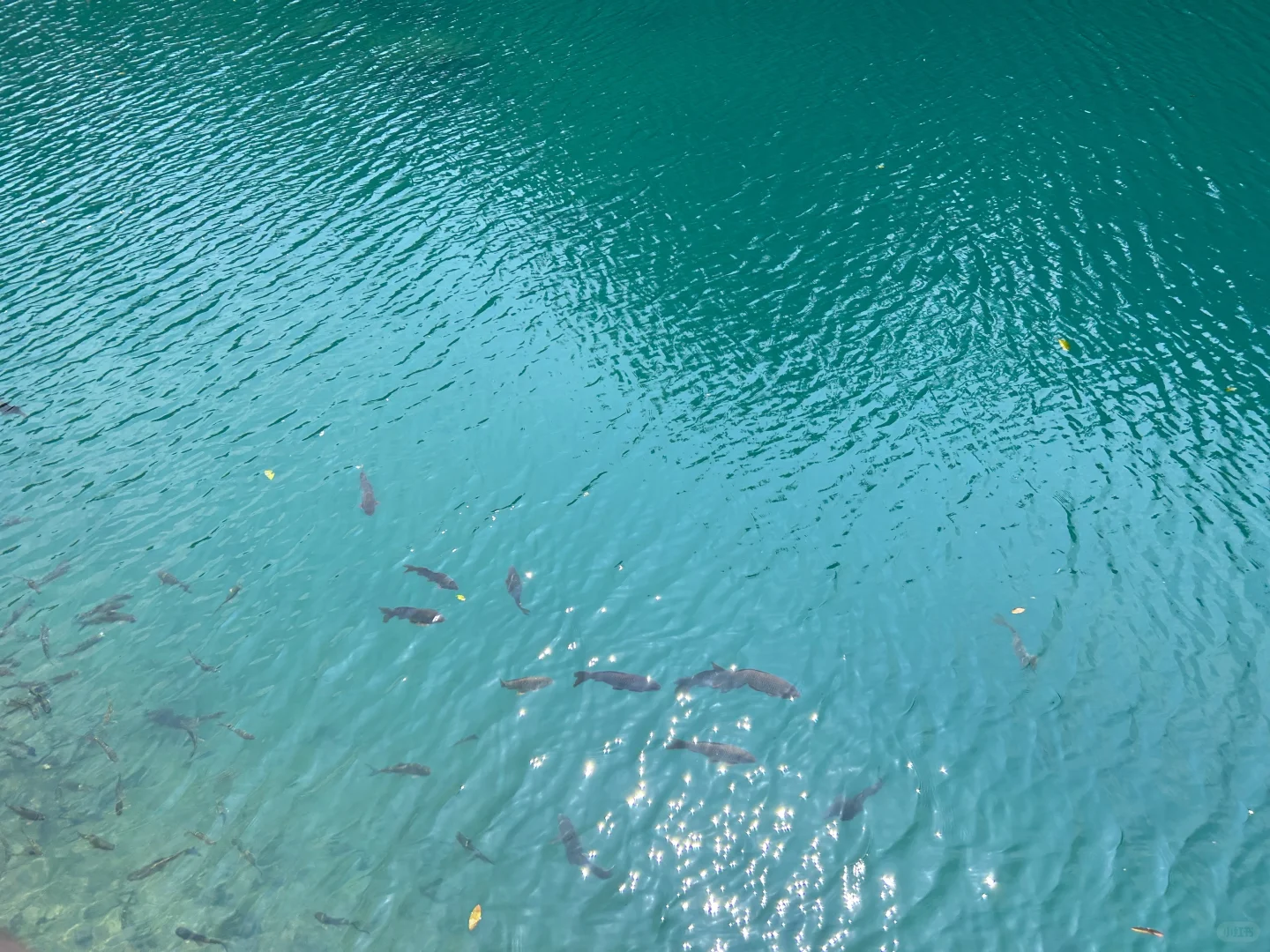 被原图直出的小七孔美哭了