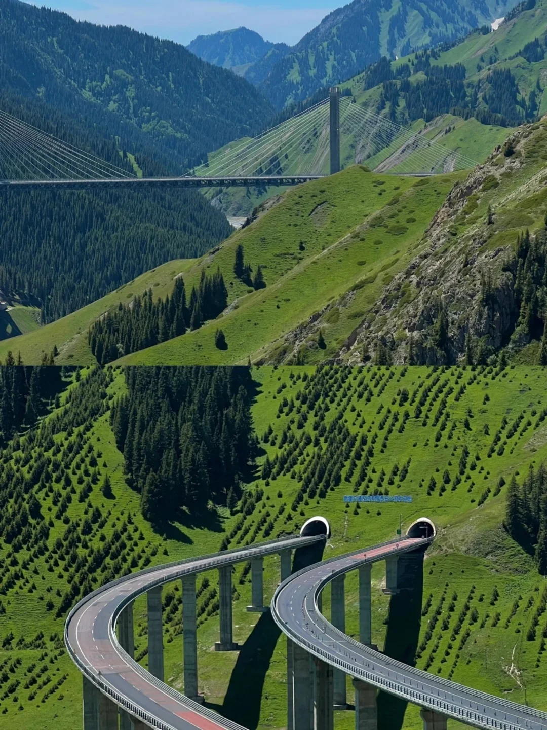 青春没有售价，大学生勇闯🏃新疆！