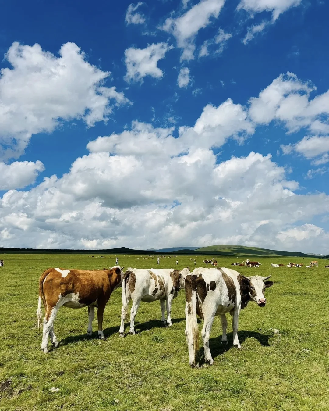 热阿线保姆级攻略｜性价比&体验感双天花板