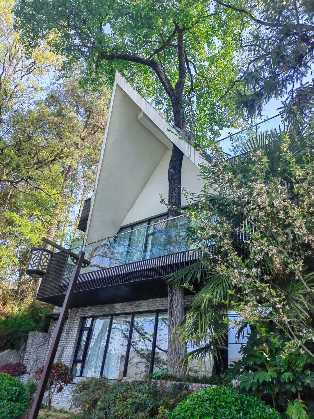 西安🚄一小时，洋县油菜花小众路线及美食