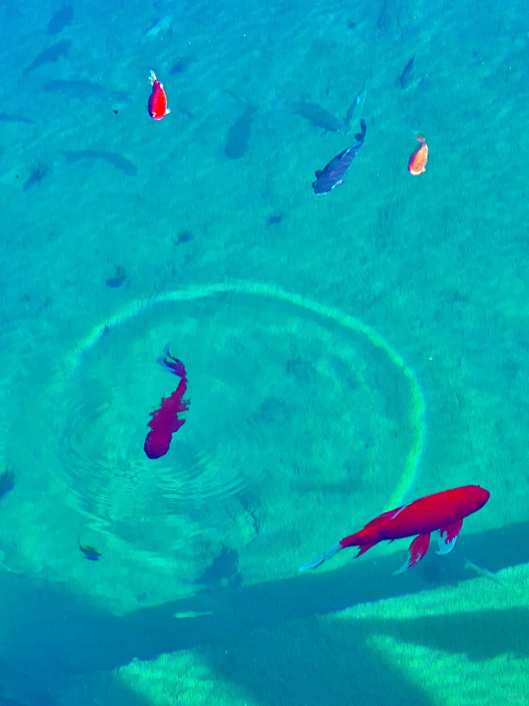 可恶！桐庐真的让我破防了😭