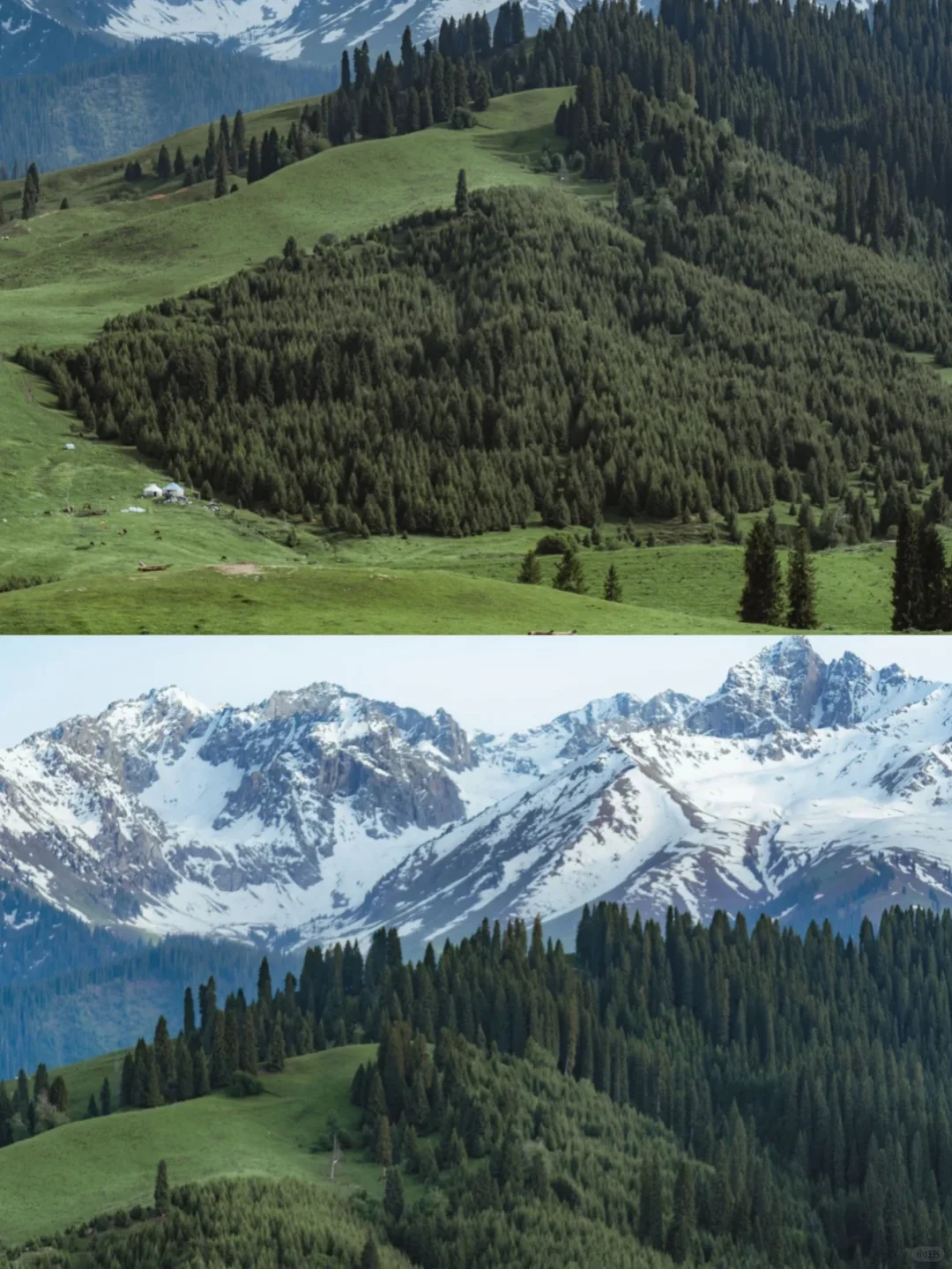 青春没有售价，大学生勇闯🏃新疆！