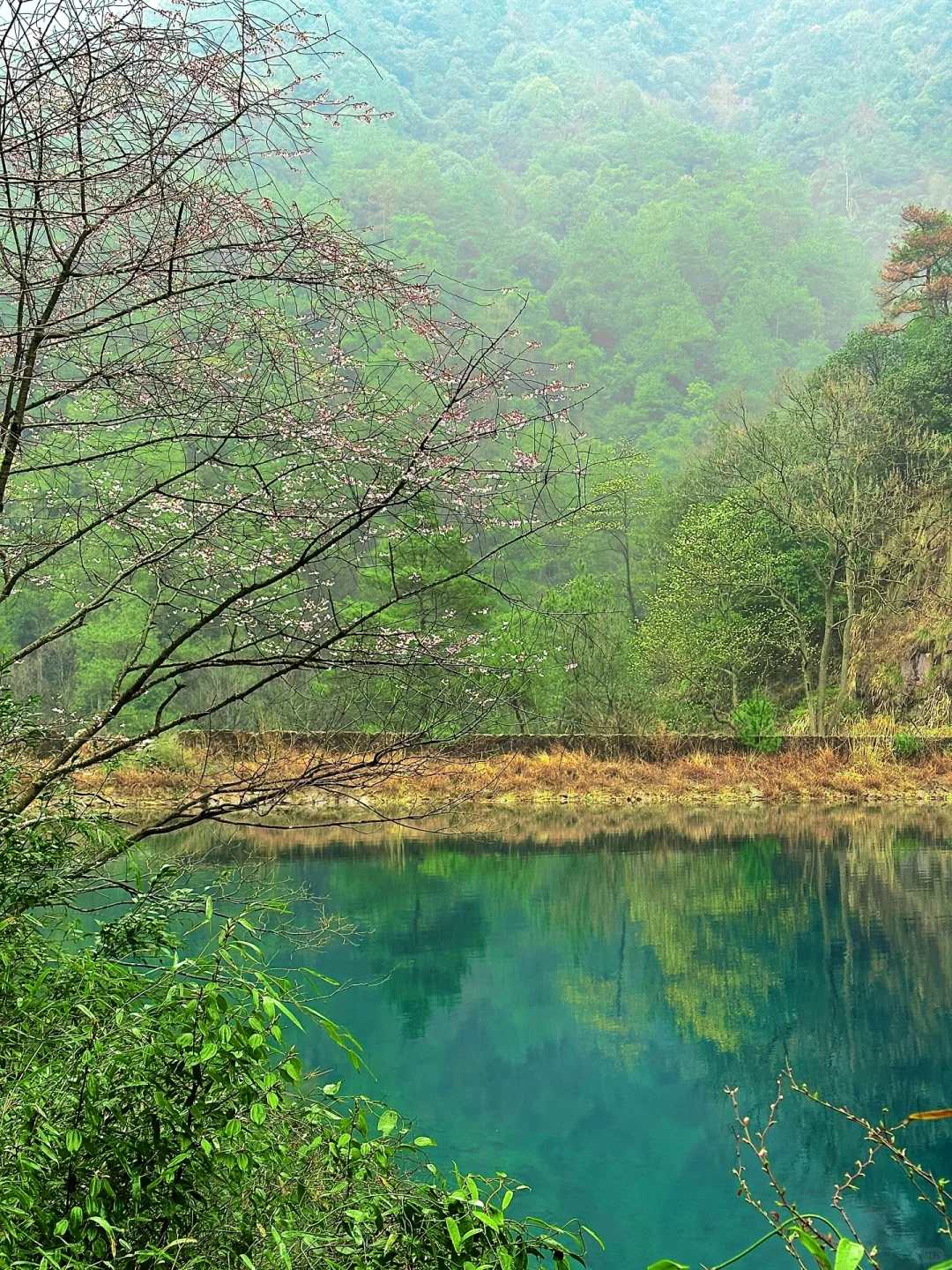可恶！桐庐真的让我破防了😭